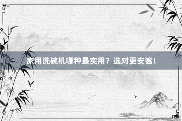 家用洗碗机哪种最实用？选对更安谧！