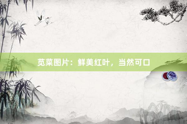 苋菜图片：鲜美红叶，当然可口