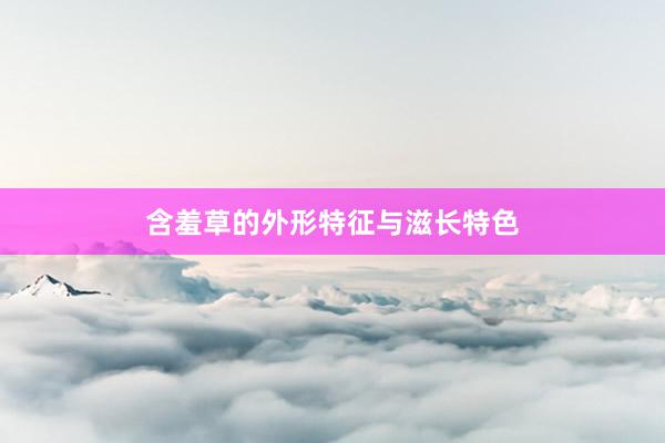 含羞草的外形特征与滋长特色